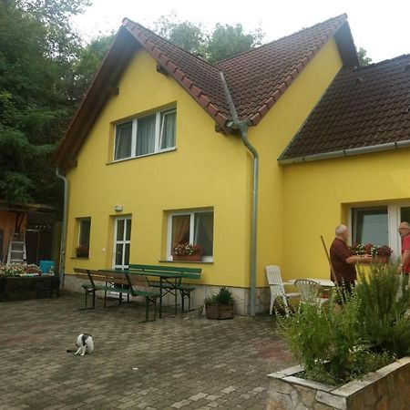 Foki Vendeghaz Villa Hidegseg Luaran gambar