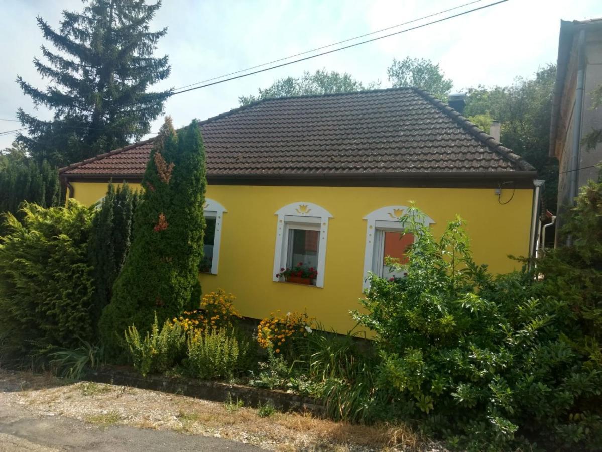 Foki Vendeghaz Villa Hidegseg Luaran gambar